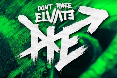 Logo Design - Don't Hate Elvate Skateboard Company - Omaha, Nebraska